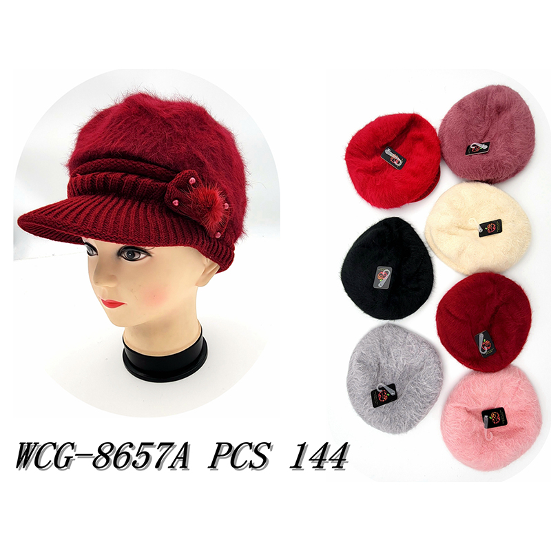 WCG-8657A CS144